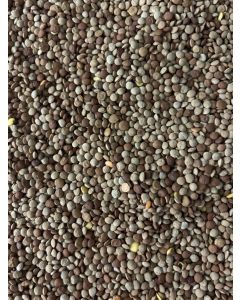 Mixed Green & Red Lentils, Organic